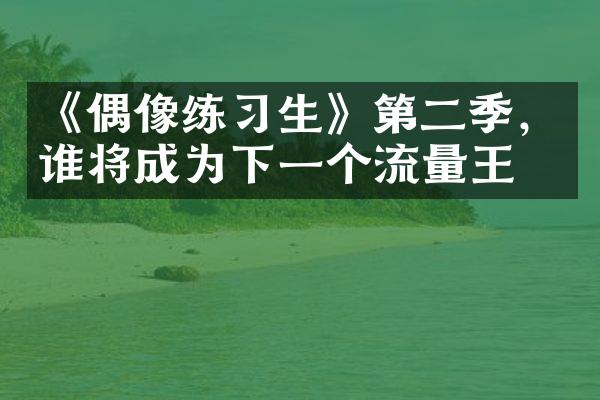 《偶像练习生》第二季，谁将成为下一个流量王？