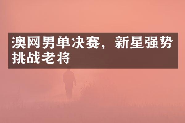 澳网男单决赛，新星强势挑战老将