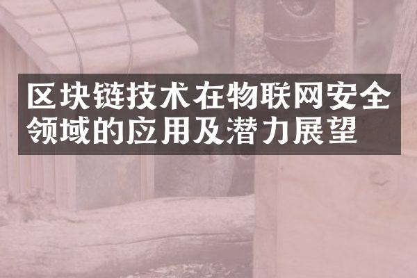 区块链技术在物联网安全领域的应用及潜力展望