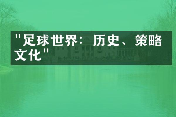 "足球世界：历史、策略与文化"