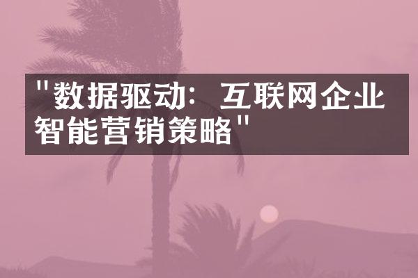 "数据驱动：互联网企业的智能营销策略"