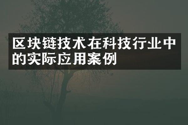 区块链技术在科技行业中的实际应用案例