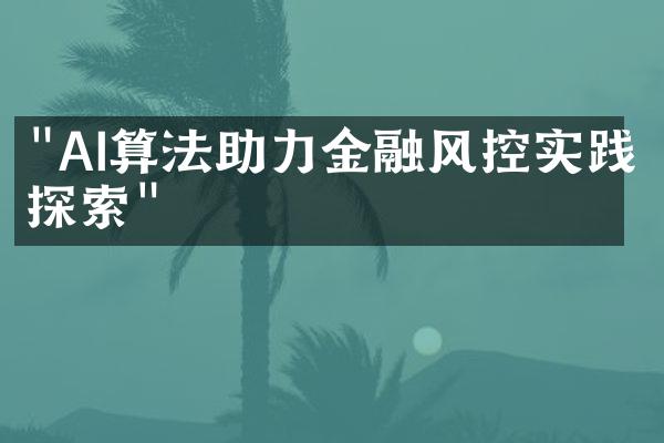 "AI算法助力金融风控实践探索"