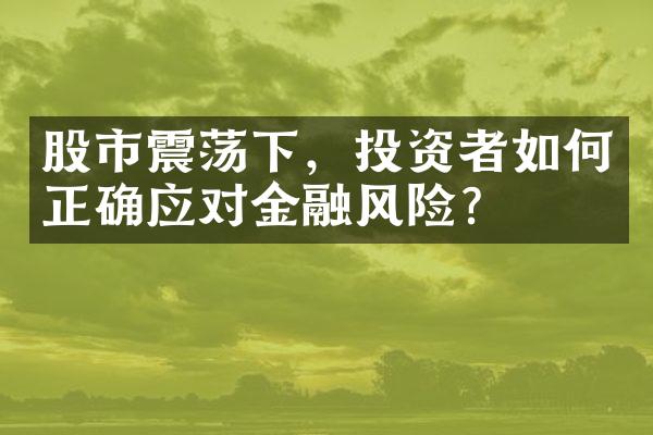 股市震荡下，投资者如何正确应对金融风险？