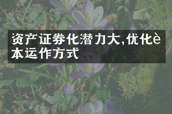 资产证券化潜力大,优化资本运作方式