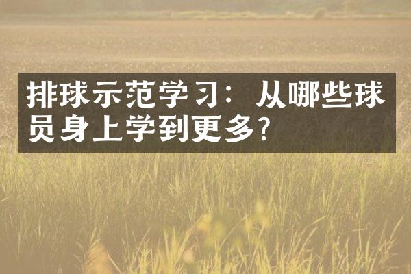 排球示范学习：从哪些球员身上学到更多？