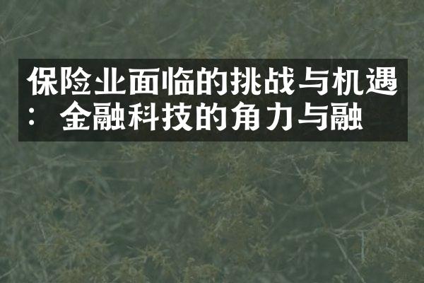 保险业面临的挑战与机遇：金融科技的角力与融合