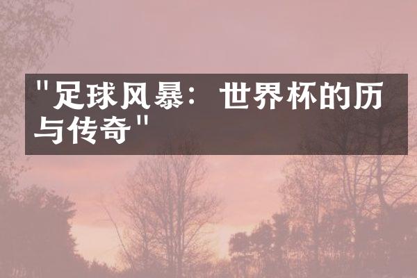 "足球风暴：世界杯的历史与传奇"