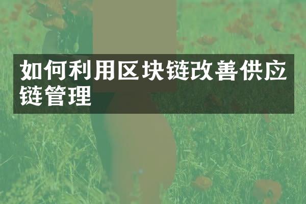 如何利用区块链改善供应链管理