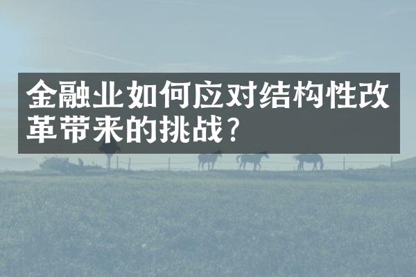 金融业如何应对结构性改革带来的挑战？