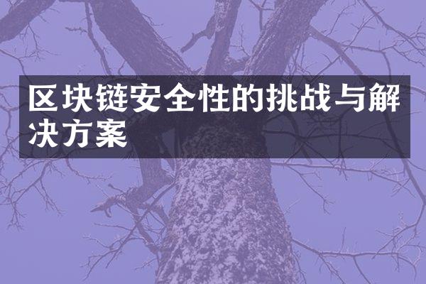 区块链安全性的挑战与解决方案