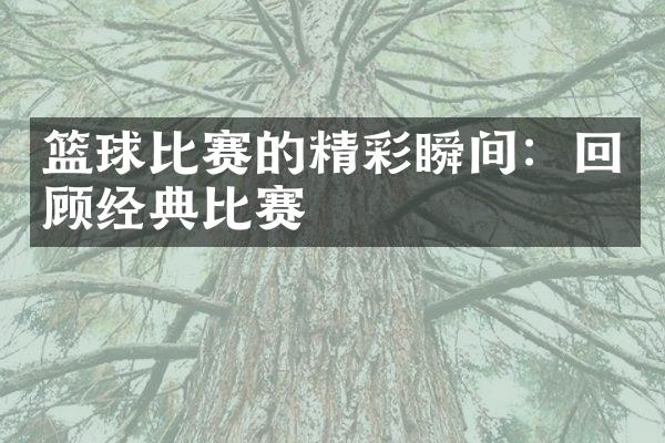 篮球比赛的精彩瞬间：回顾经典比赛