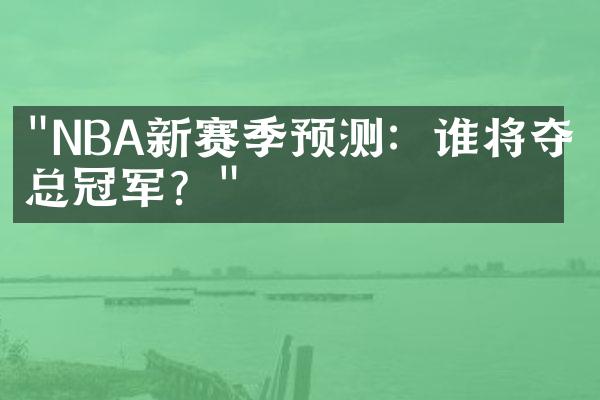 "NBA新赛季预测：谁将夺得总冠军？"