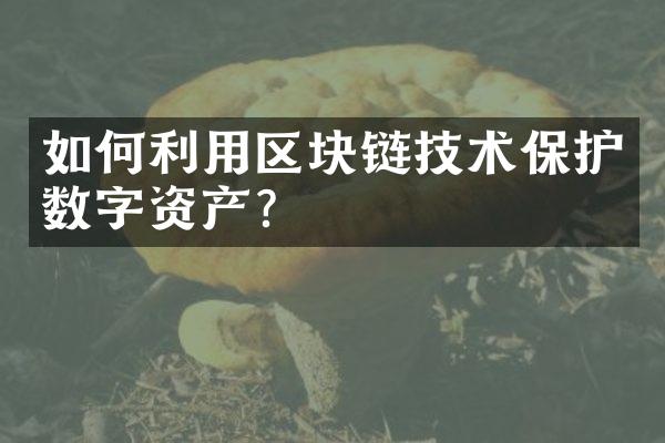 如何利用区块链技术保护数字资产？