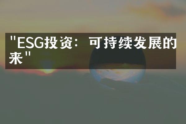 "ESG投资：可持续发展的未来"