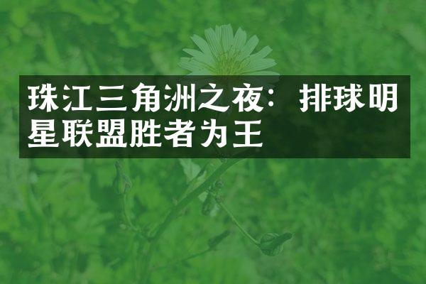 珠江三角洲之夜：排球明星联盟胜者为王