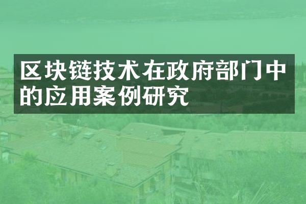 区块链技术在政府部门中的应用案例研究