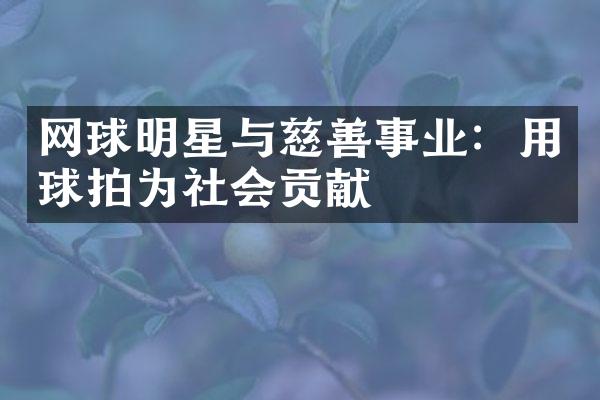 网球明星与慈善事业：用球拍为社会贡献