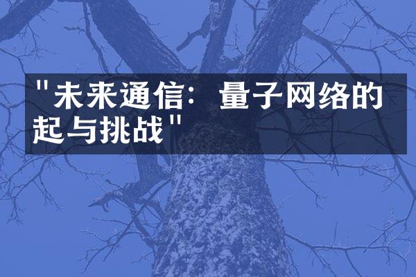 "未来通信：量子网络的崛起与挑战"