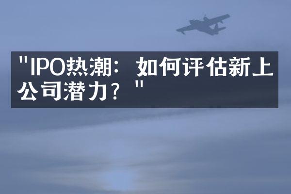 "IPO热潮：如何评估新上市公司潜力？"