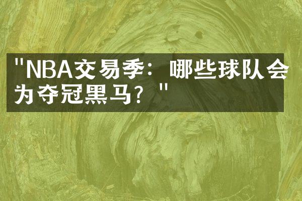 "NBA交易季：哪些球队会成为夺冠黑马？"