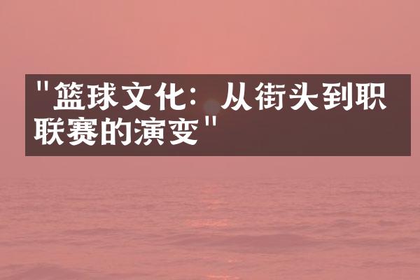 "篮球文化：从街头到职业联赛的演变"