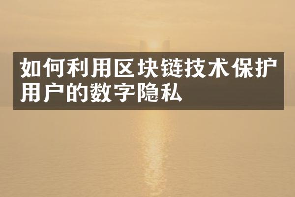 如何利用区块链技术保护用户的数字隐私