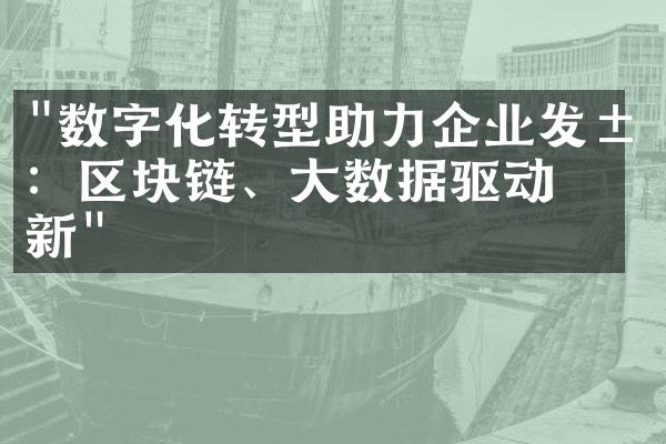 "数字化转型助力企业发展：区块链、大数据驱动创新"