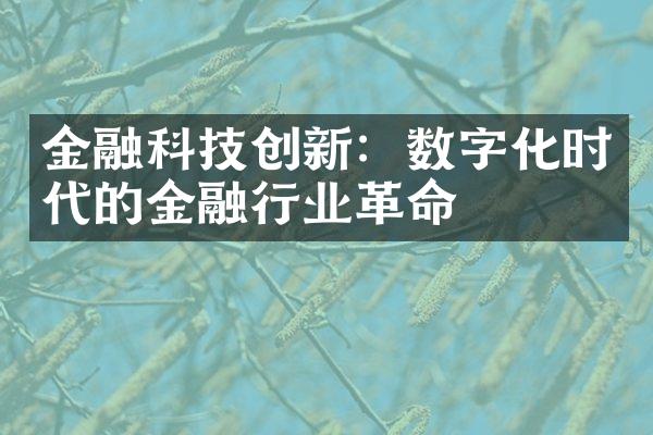 金融科技创新：数字化时代的金融行业革命