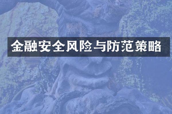 金融安全风险与防范策略