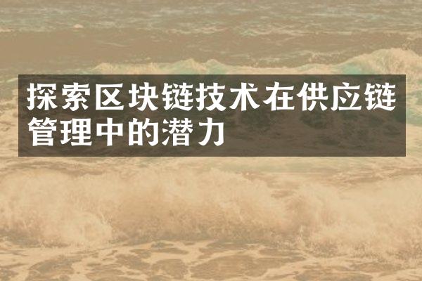 探索区块链技术在供应链管理中的潜力