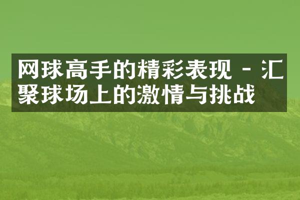 网球高手的精彩表现 - 汇聚球场上的与挑战