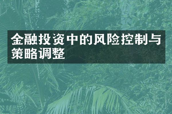 金融投资中的风险控制与策略调整