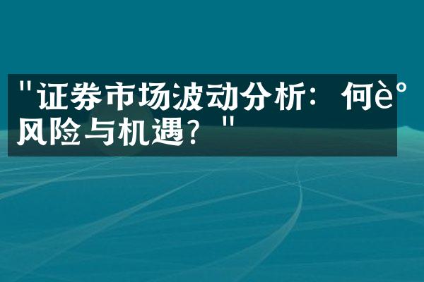 "证券市场波动分析：何谓风险与机遇？"