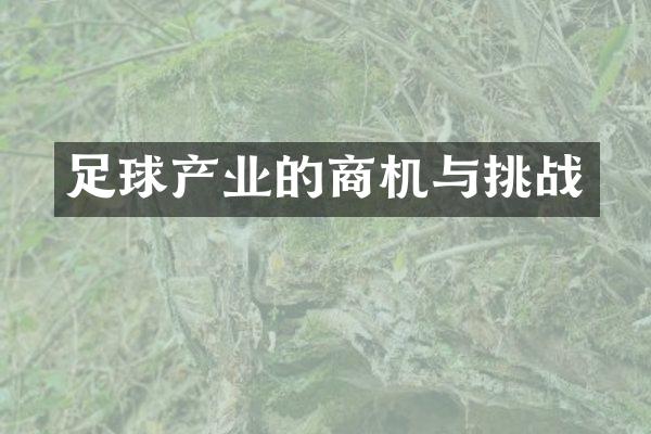 足球产业的商机与挑战