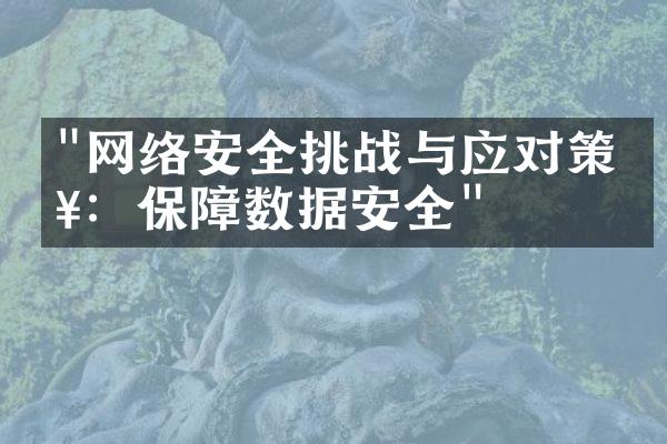 "网络安全挑战与应对策略：保障数据安全"