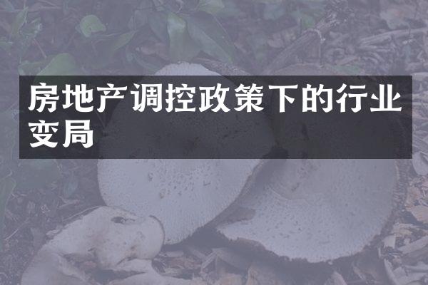 房地产调控政策下的行业变局