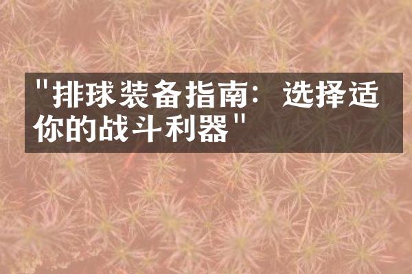 "排球装备指南：选择适合你的战斗利器"