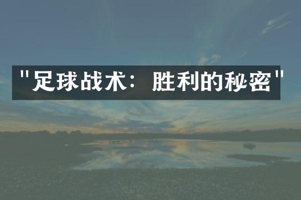 "足球战术：胜利的秘密"