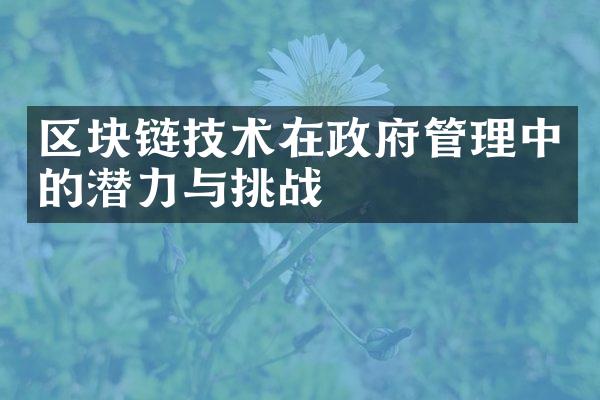 区块链技术在政府管理中的潜力与挑战