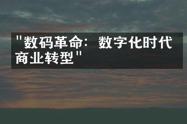 "数码革命：数字化时代的商业转型"