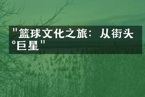 "篮球文化之旅：从街头到巨星"