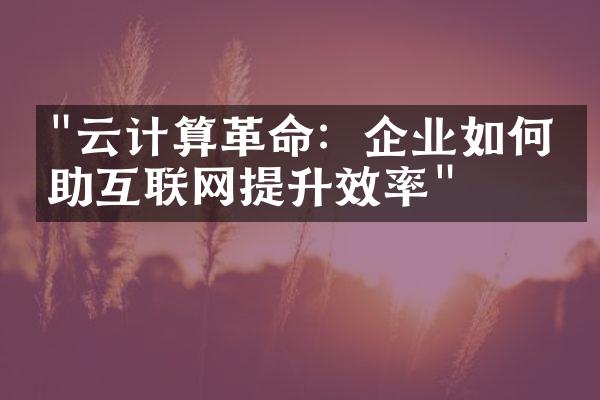 "云计算革命：企业如何借助互联网提升效率"