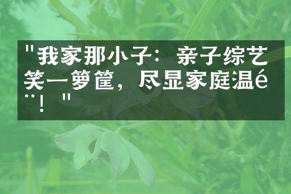 "我家那小子：亲子综艺搞笑一箩筐，尽显家庭温馨！"