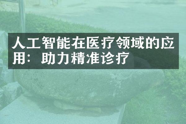 人工智能在医疗领域的应用：助力精准诊疗