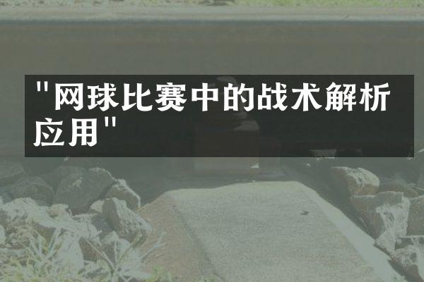 "网球比赛中的战术解析与应用"