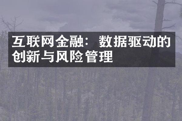 互联网金融：数据驱动的创新与风险管理