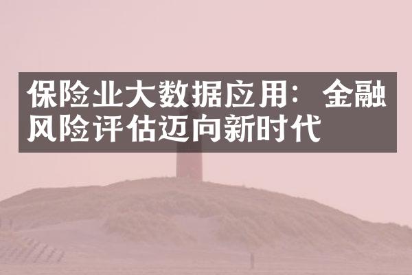 保险业大数据应用：金融风险评估迈向新时代