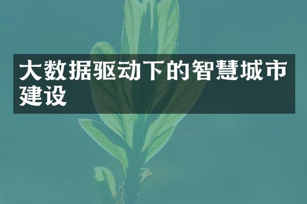 大数据驱动下的智慧城市建设