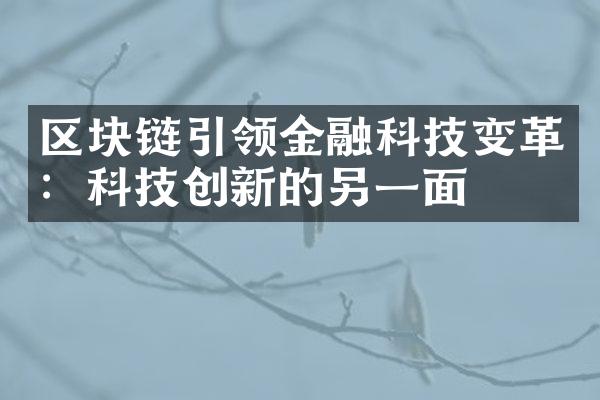 区块链引领金融科技变革：科技创新的另一面